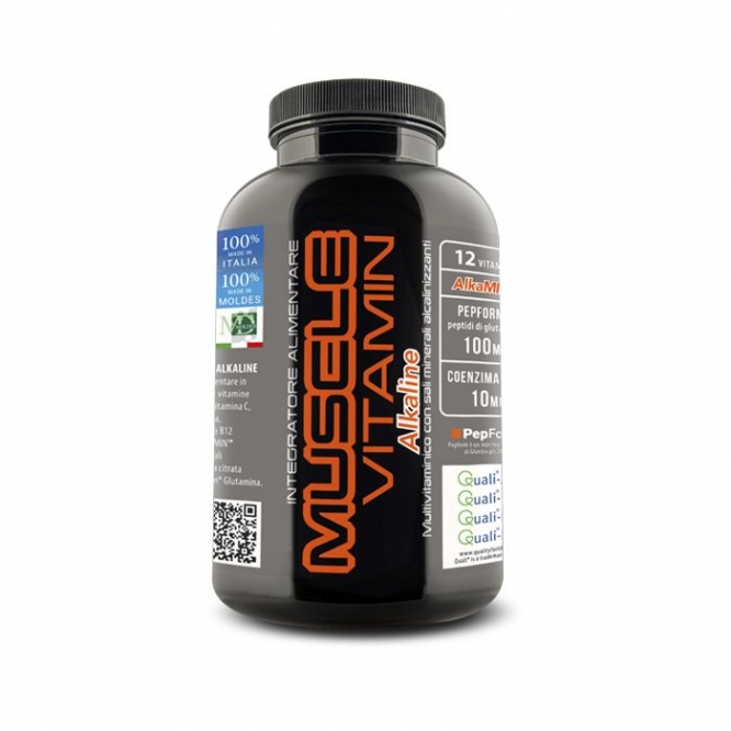 muscle vitamin web 1